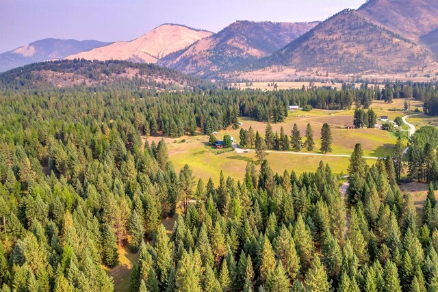 708 Johnson Ln, Superior, MT 59872 - view of mountain feature with a wooded view