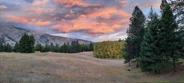 708 Johnson Ln, Superior, MT 59872 - mountain view