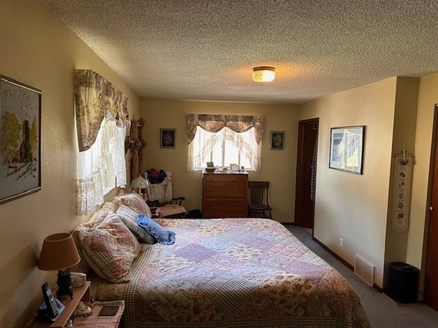708 Johnson Ln, Superior, MT 59872 - bedroom with a textured ceiling, visible vents, and carpet