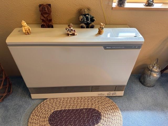 708 Johnson Ln, Superior, MT 59872 - room details with carpet