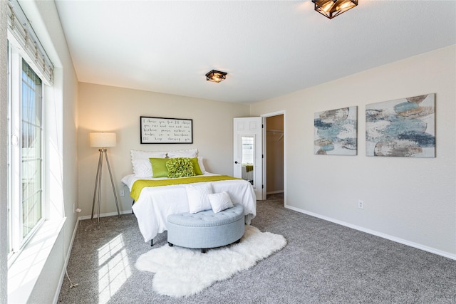 bedroom featuring carpet flooring, baseboards, multiple windows, and a spacious closet