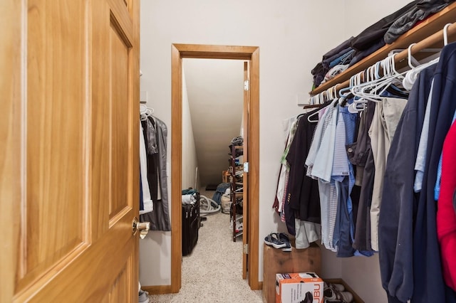 196 Pine Needle Ln, Bigfork, MT 59911 - spacious closet featuring carpet