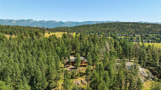 196 Pine Needle Ln, Bigfork, MT 59911 - view of mountain background with a forest