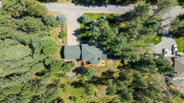 196 Pine Needle Ln, Bigfork, MT 59911 - view of subject property