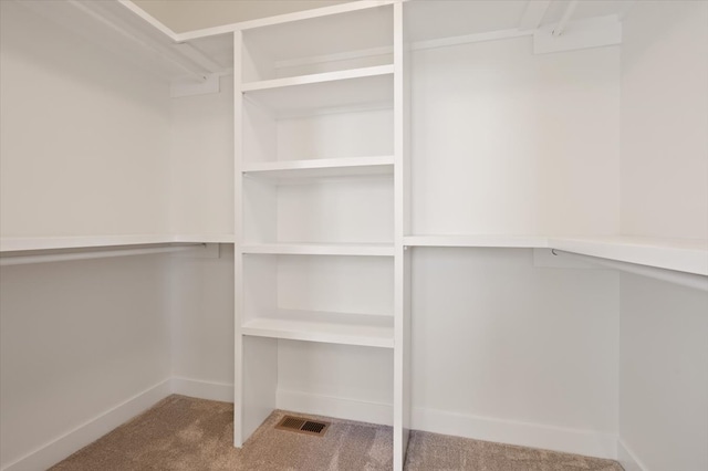 walk in closet with visible vents and carpet flooring