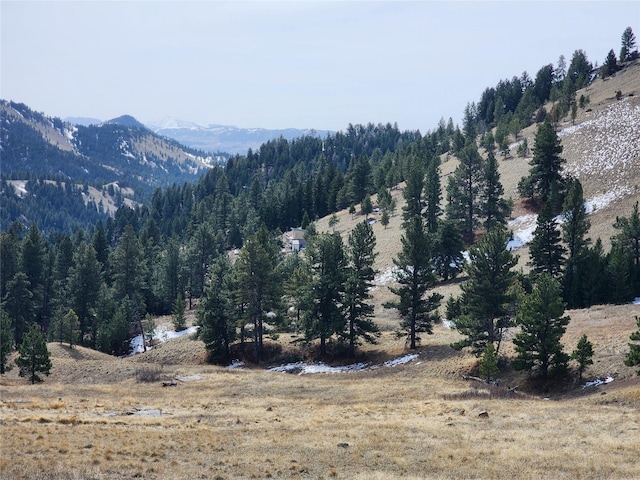 property view of mountains with a forest view