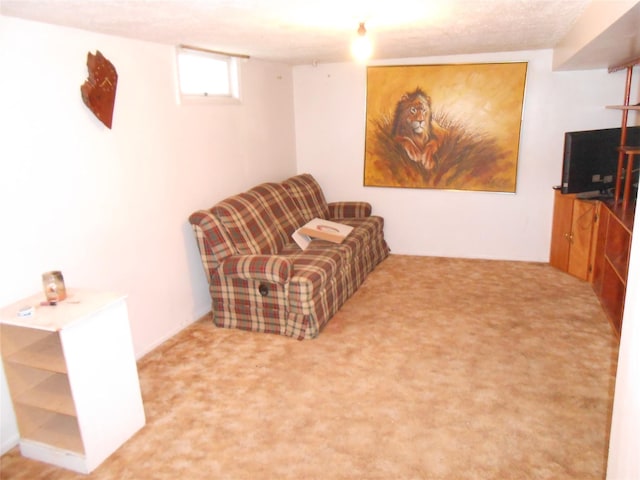 1426 2nd Ave NW, Great Falls, MT 59404 - living area with carpet flooring