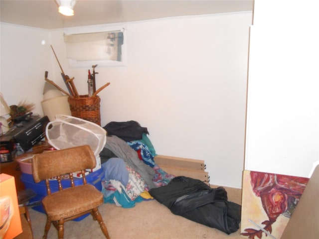1426 2nd Ave NW, Great Falls, MT 59404 - interior space with carpet floors