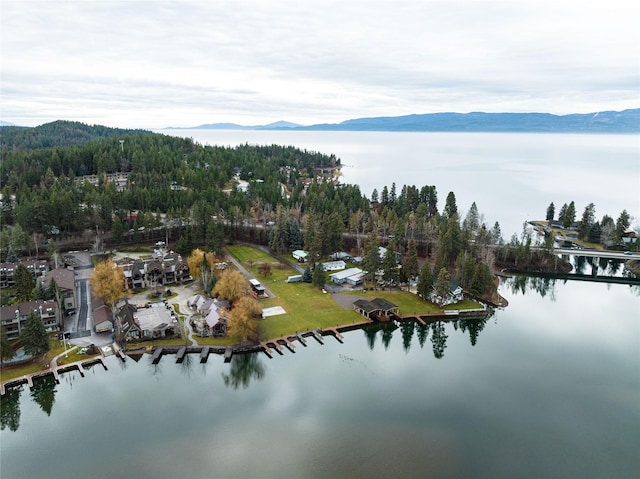 30 Bear Dance Vlg, Bigfork, MT 59911 - aerial view of property's location with a water and mountain view and a heavily wooded area