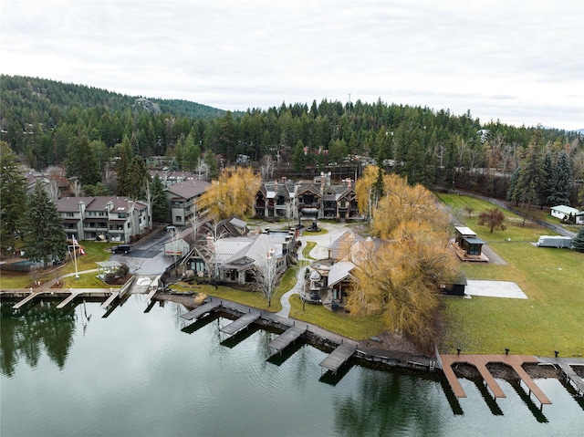 30 Bear Dance Vlg, Bigfork, MT 59911 - aerial view of a heavily wooded area and a nearby body of water
