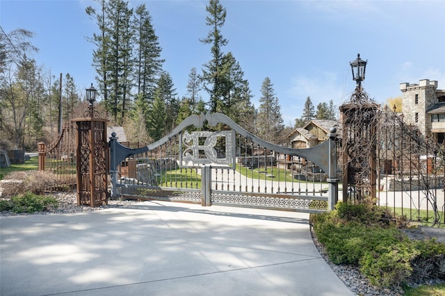 30 Bear Dance Vlg, Bigfork, MT 59911 - view of gate