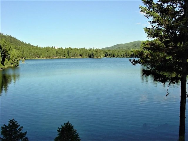 488 Emerald Lake Loop, Seeley Lake, MT 59868
