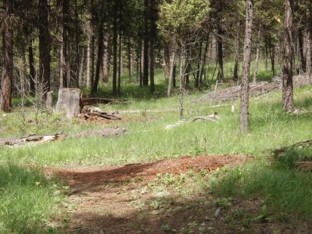 488 Emerald Lake Loop, Seeley Lake, MT 59868