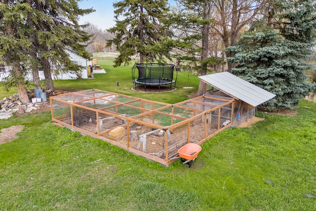 view of yard featuring an outdoor structure, a trampoline, a garden, and exterior structure