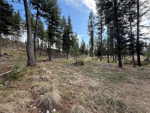 324 Whitefish Dr, Seeley Lake, MT 59868