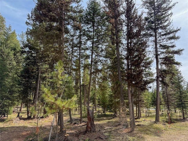 324 Whitefish Dr, Seeley Lake, MT 59868