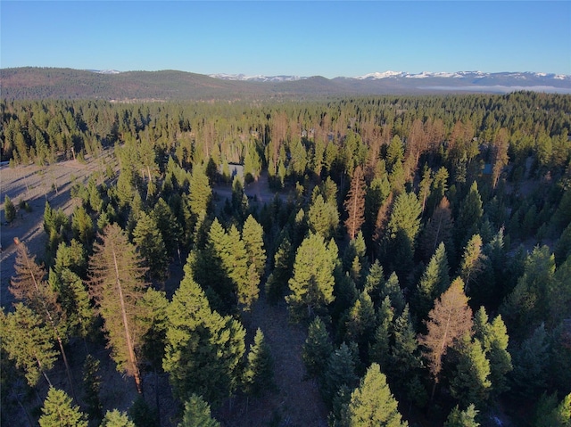 324 Whitefish Dr, Seeley Lake, MT 59868