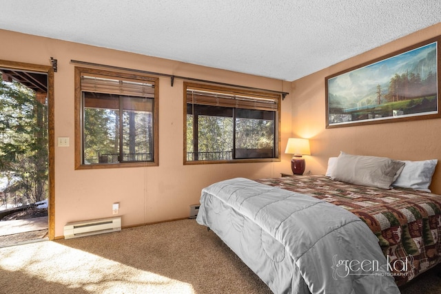 62 Limber Pne, Whitefish, MT 59937 - bedroom with a baseboard heating unit, multiple windows, carpet flooring, and a textured ceiling