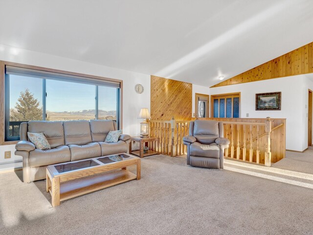 3600 Fairmont Rd, Anaconda, MT 59711 - carpeted living area featuring vaulted ceiling and wood walls