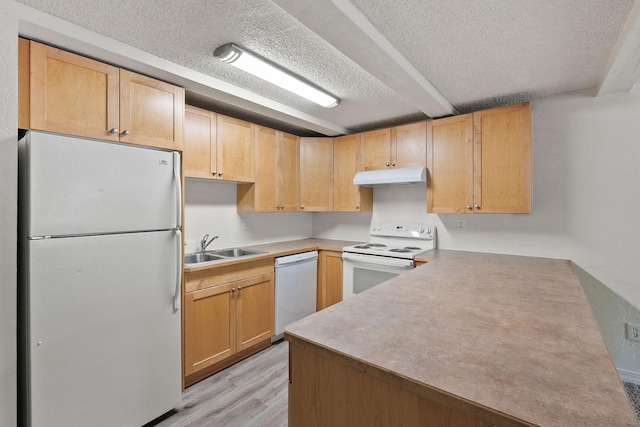 121 Iowa Ave Unit 1G, Whitefish, MT 59937 - kitchen with white appliances, under cabinet range hood, light wood-style flooring, a textured ceiling, and light brown cabinets
