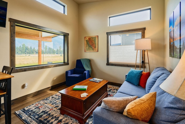 2360 Mt Highway 206, Columbia Falls, MT 59912 - living area with wood finished floors