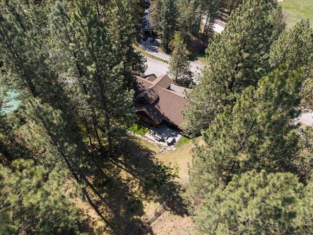 bird's eye view