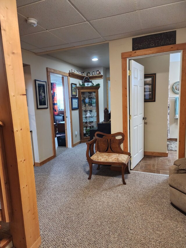 interior space featuring baseboards, carpet, and a drop ceiling