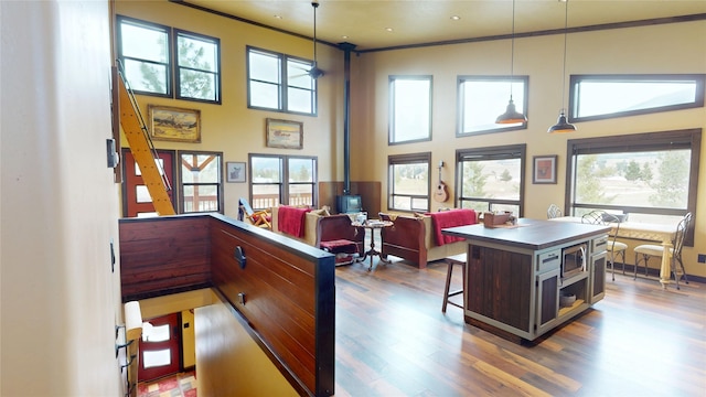 87 Velvet Grv, Eureka, MT 59917 - living room featuring a towering ceiling, dark wood finished floors, and a wood stove