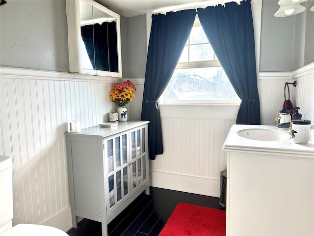 bathroom with wainscoting, vanity, and wood finished floors