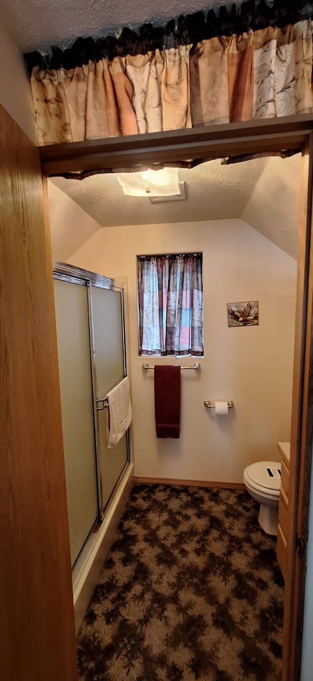 404 Halo Dr, Troy, MT 59935 - full bath featuring a shower stall, toilet, lofted ceiling, and baseboards