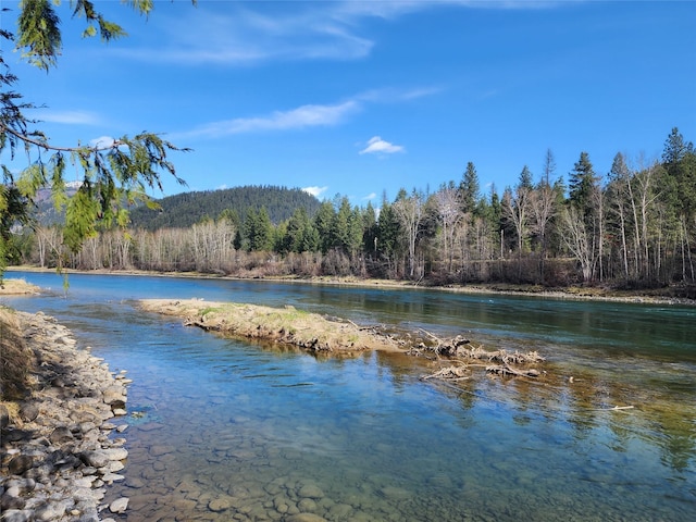 property view of water featuring a forest view