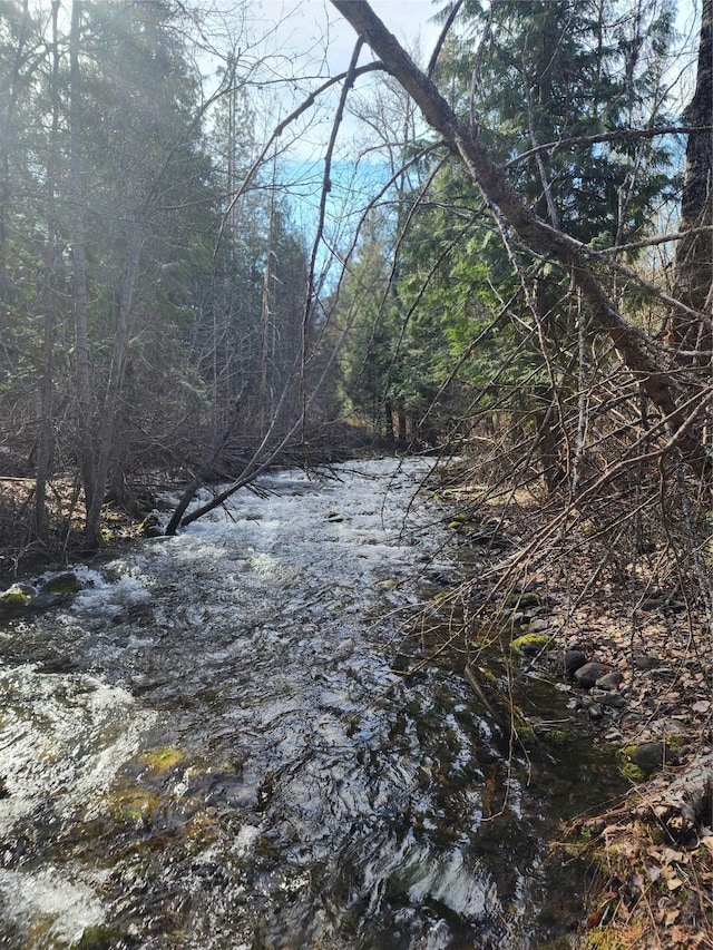 view of nature