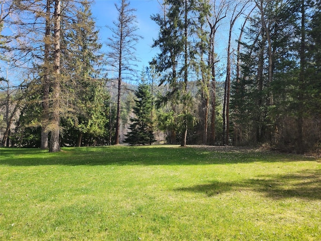view of yard with a view of trees