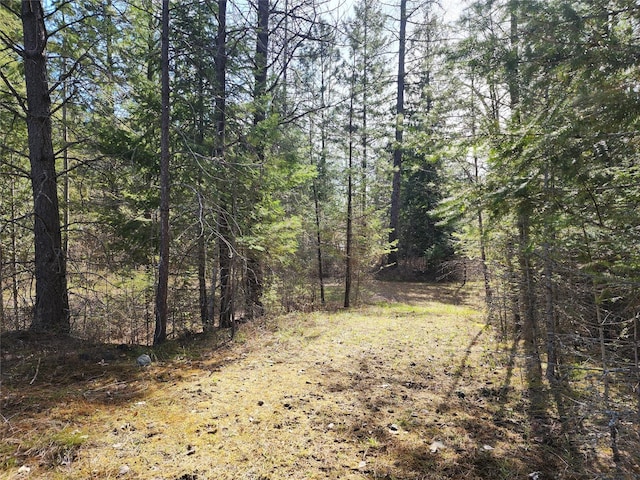view of local wilderness featuring a forest view