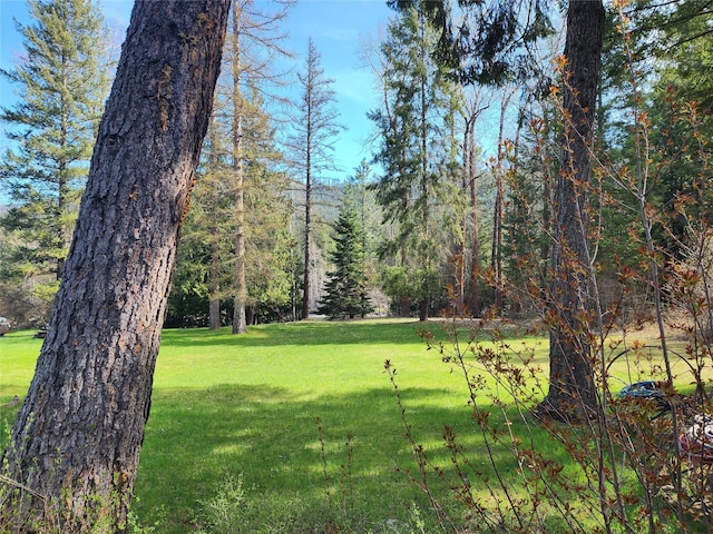 view of yard featuring a view of trees