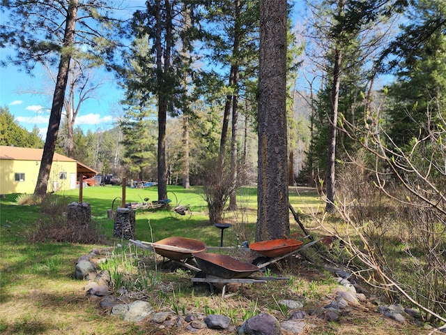 view of yard