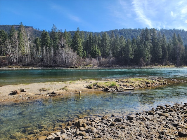 property view of water with a wooded view