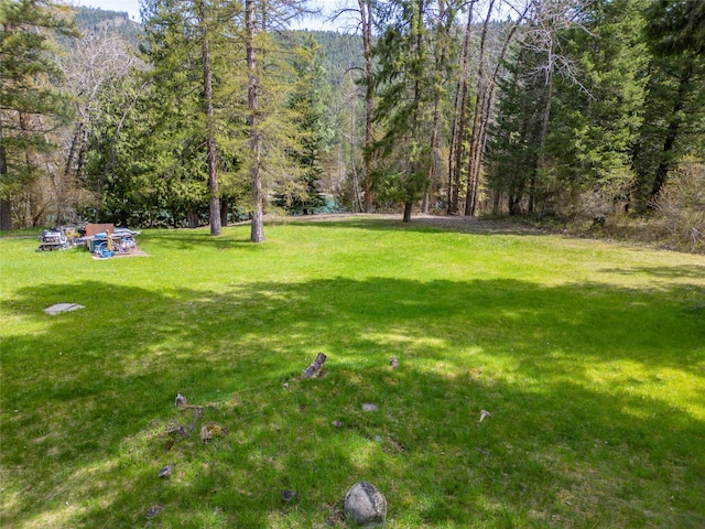 view of yard featuring a view of trees