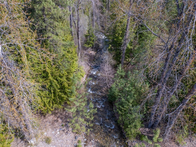aerial view with a forest view
