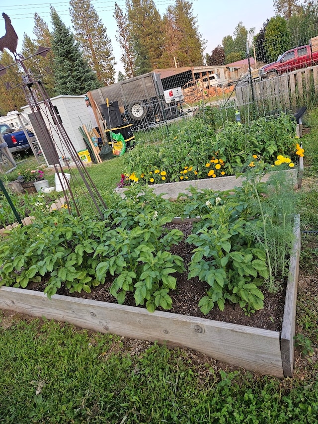 57 Fir St, Trout Creek, MT 59874 - view of yard with a vegetable garden