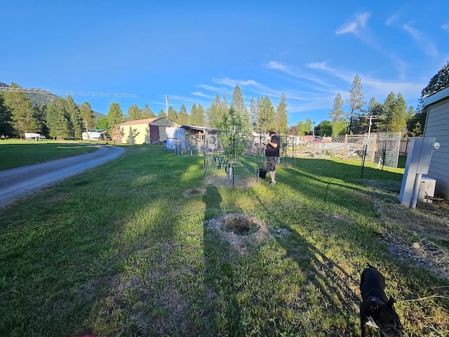 57 Fir St, Trout Creek, MT 59874 - view of yard