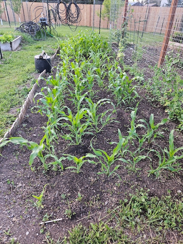 57 Fir St, Trout Creek, MT 59874 - exterior view of a garden and fence
