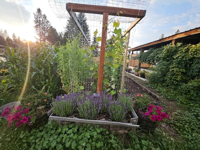57 Fir St, Trout Creek, MT 59874 - view of yard with a garden and fence