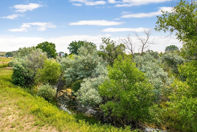 view of landscape