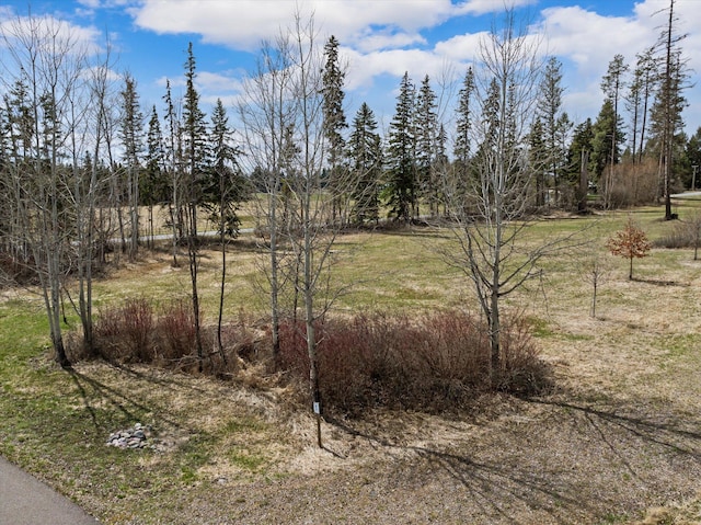 100 Timber Axe Ln, Columbia Falls, MT 59912