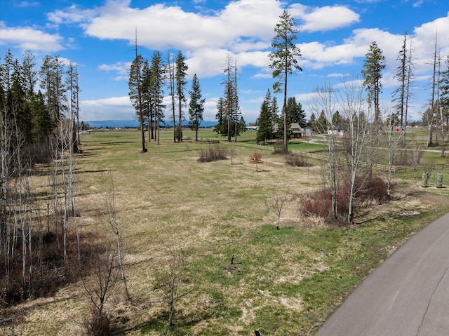 100 Timber Axe Ln, Columbia Falls, MT 59912
