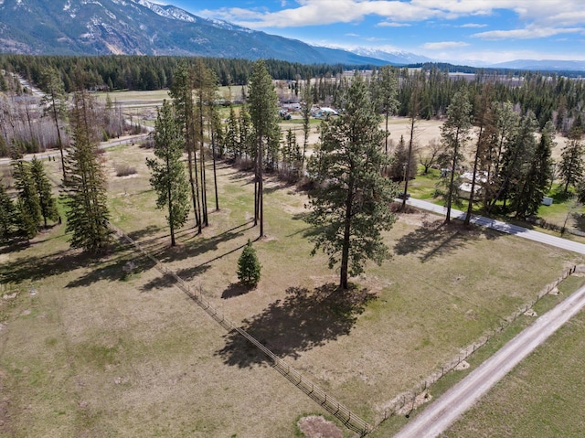 100 Timber Axe Ln, Columbia Falls, MT 59912