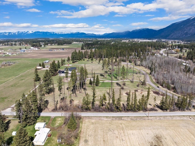 100 Timber Axe Ln, Columbia Falls, MT 59912