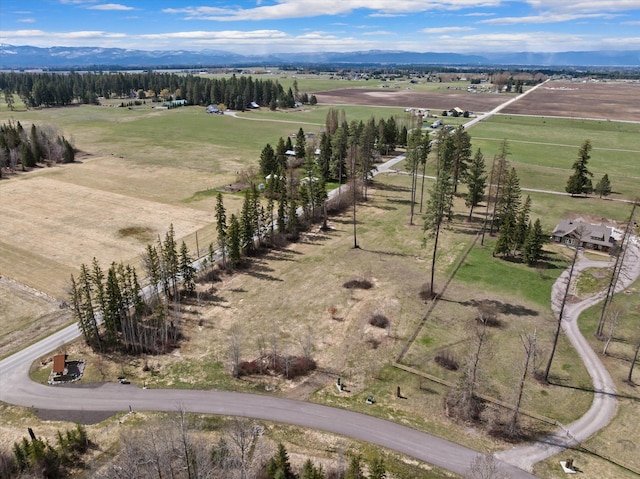 100 Timber Axe Ln, Columbia Falls, MT 59912