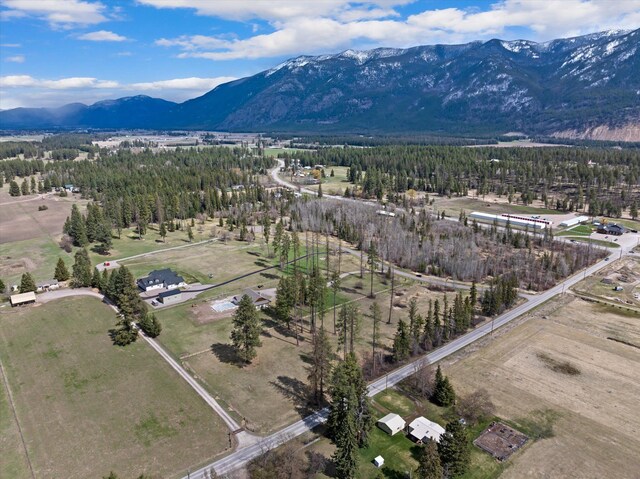 100 Timber Axe Ln, Columbia Falls, MT 59912